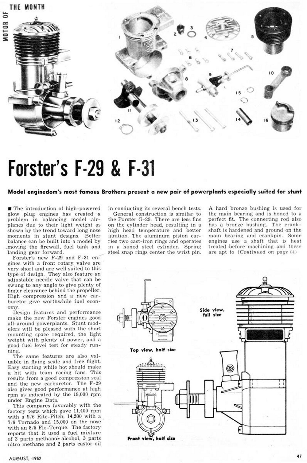 Forster 29 (2)